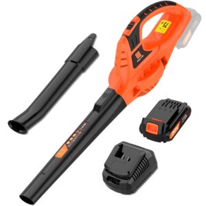 21V Leaf Blower Cordless | Handheld Electric Lightweight Blower with 2.0Ah Rechargeable Battery & Fast Charger | Adjustable Speeds, Portable Design for Lawn, Patio, Yard,...