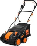 6-Step Guide to Power Raking: It Removes Thatch Fast and Safely