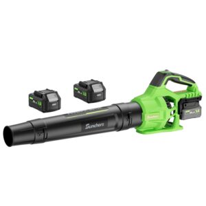 Leaf Blower Cordless with 2 x 4.0Ah Battery and Charger, 580CFM 160MPH Electric Blower with 2 Speeds, 20V Handheld Leaf Cleaner for Lawn Care, Blowing Leaves, Dust, Snow, Gravel...