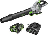 They Pick 8 Top Cordless Leaf Blowers for Homeowners
