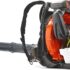 Best Leaf Blower Mulcher and Leaf Blowers with Vacuum Compared