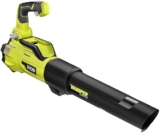 Leaf Blowers Ryobi: Best Models Compared